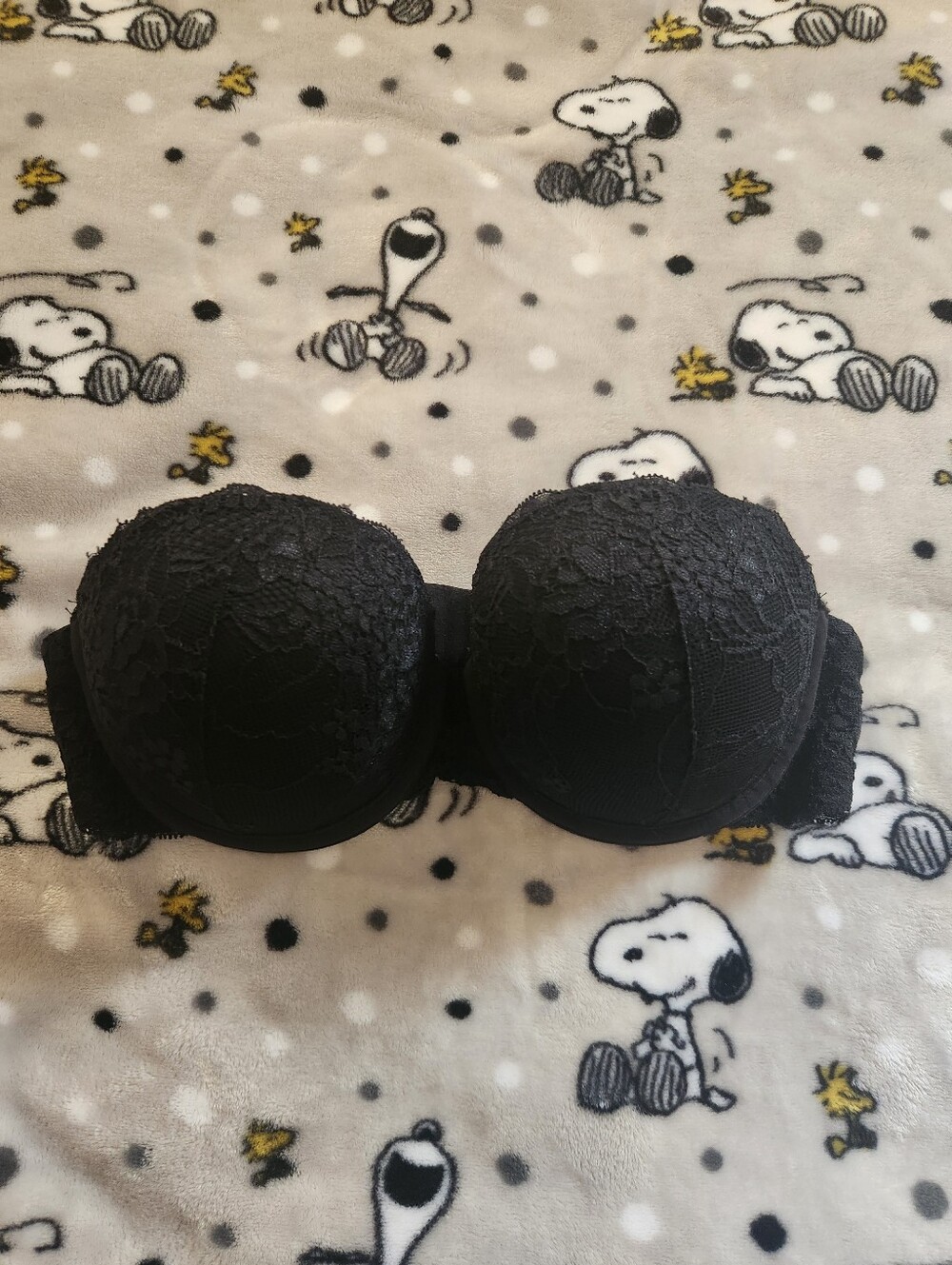 La Senza Hello Sugar Push Up Bra